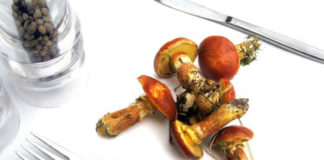 Sagra delle tacchie ai funghi porcini 1332 0 Sagra delle tacchie ai funghi porcini